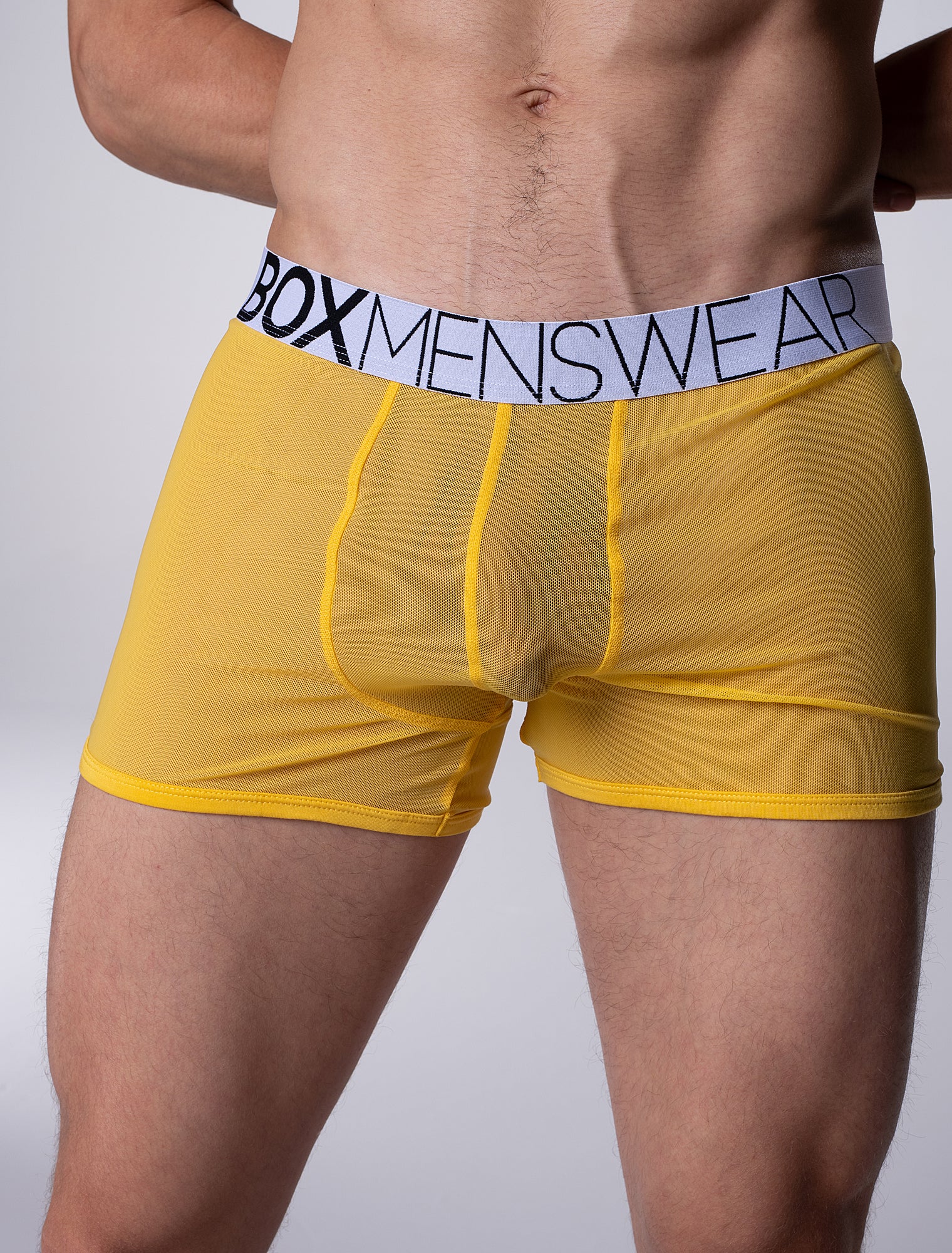 All Over Mesh Boxers - Mellow Yellow - Image 3