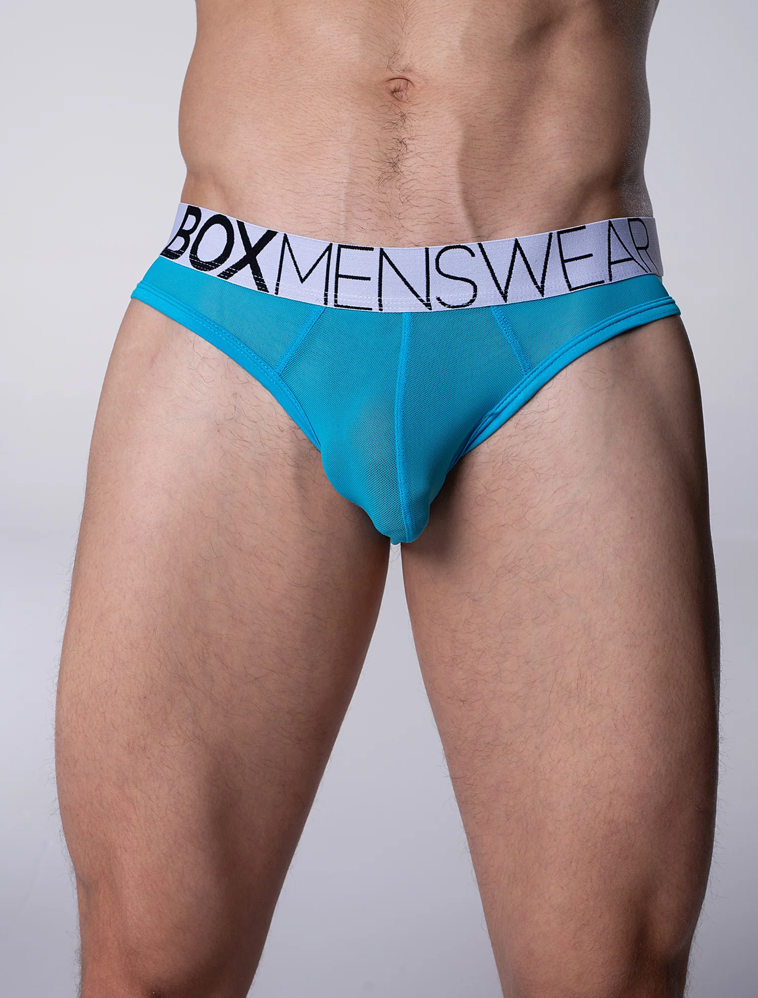 All Over Mesh Briefs - Blue Me - Image 3