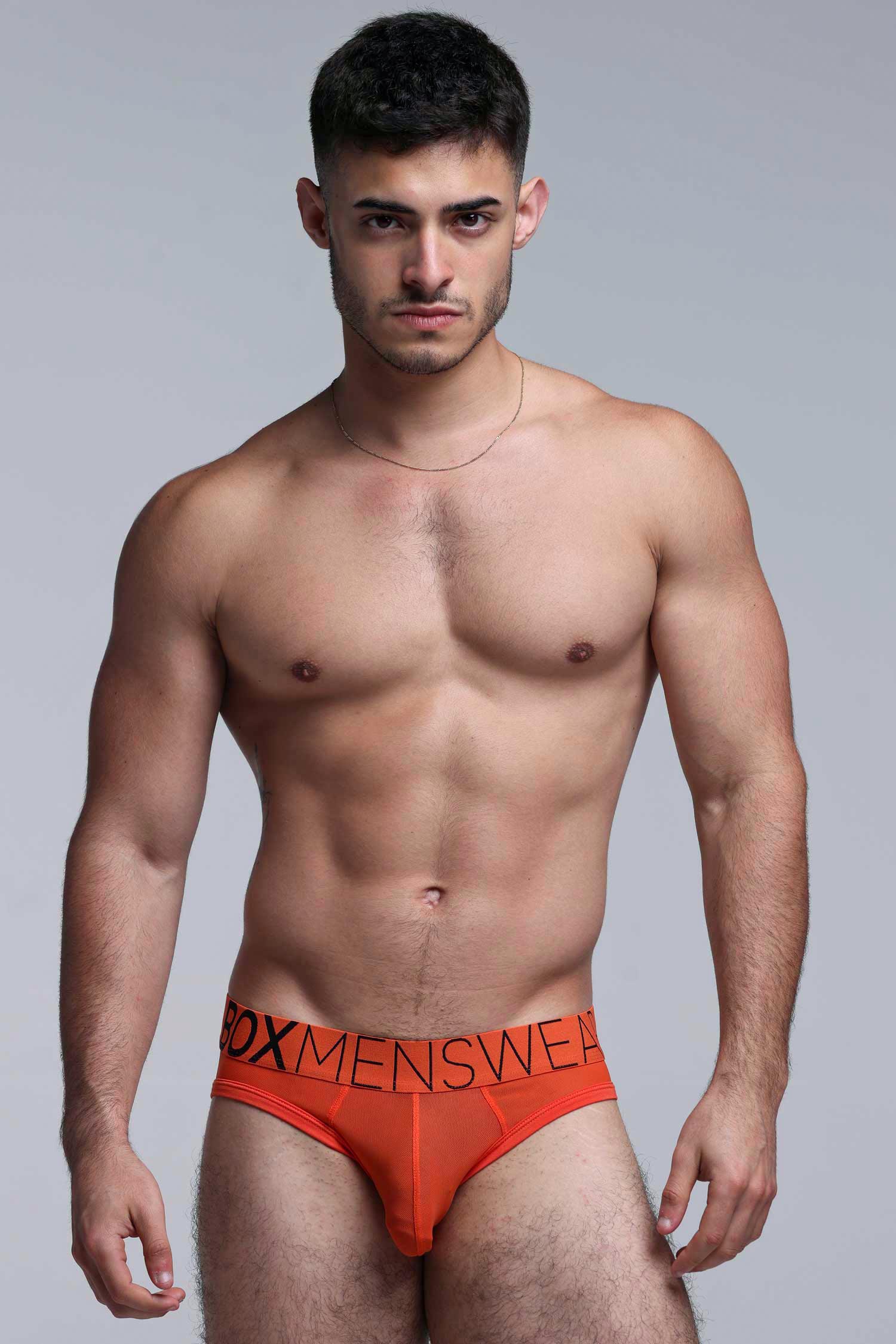 All Over Mesh Briefs - Orangeade - Image 5