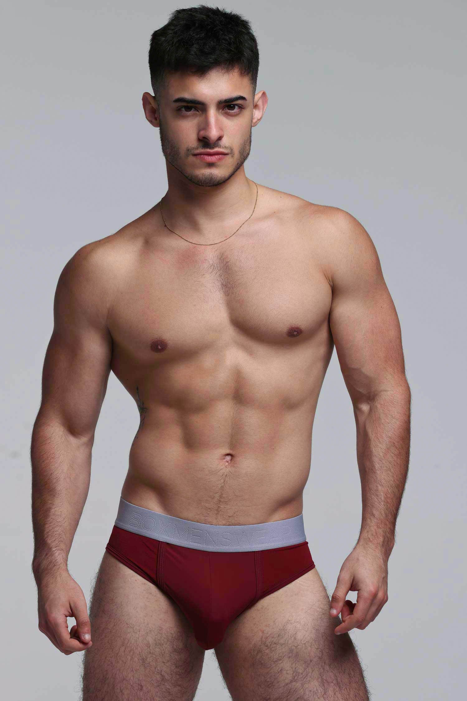 Mesh Panel Briefs - Burgundy Bordeaux - Image 6