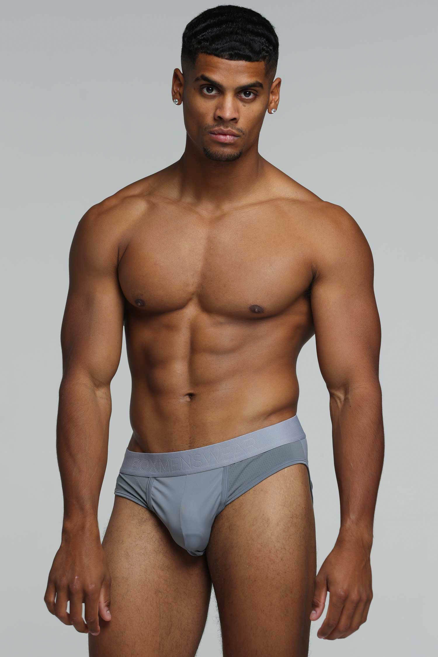 Mesh Panel Briefs - Regal Grey - Image 2