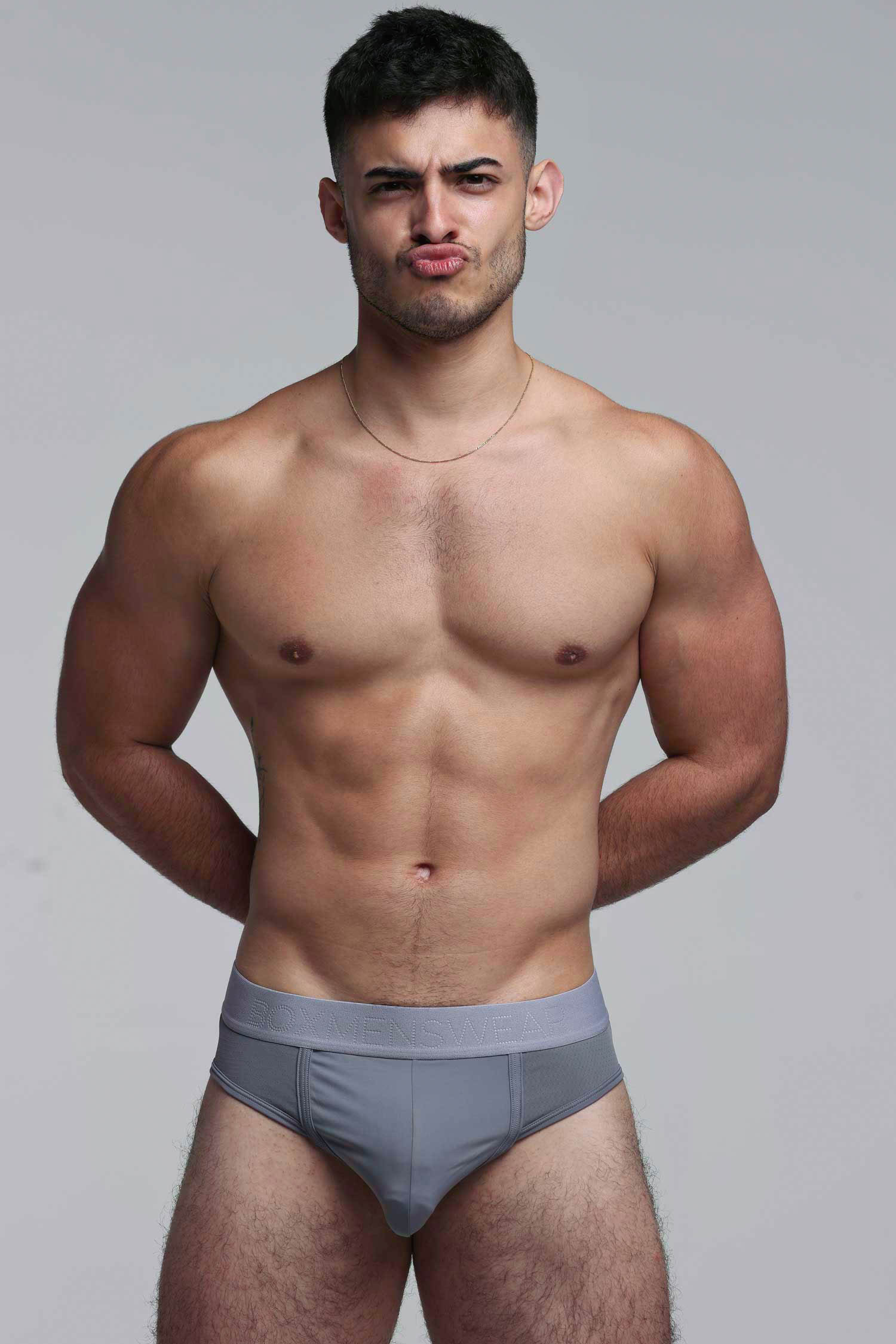Mesh Panel Briefs - Regal Grey - Image 3