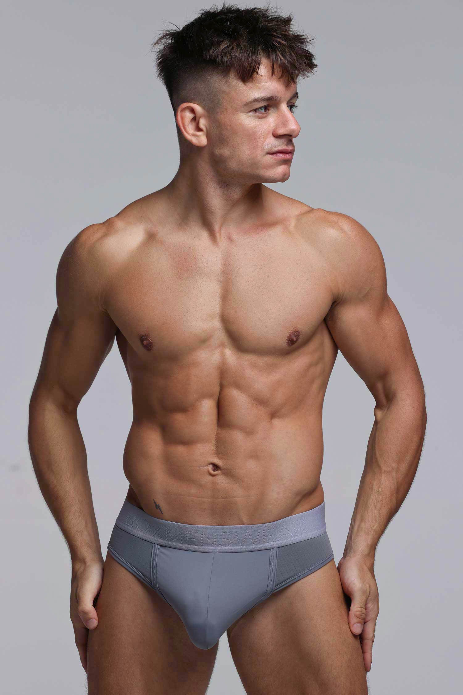 Mesh Panel Briefs - Regal Grey - Image 6