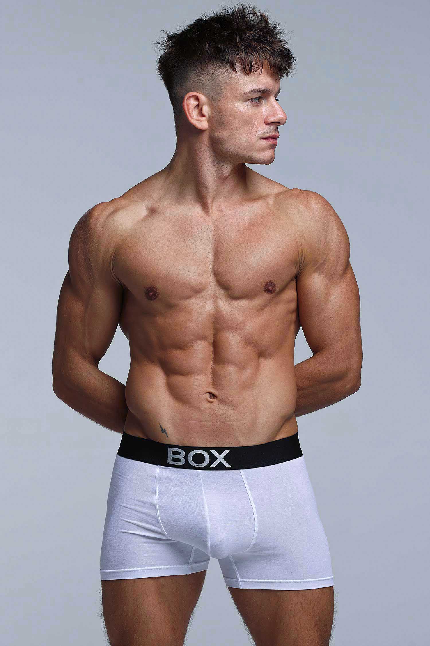 Metallic Modal Boxers - White & Silver - Image 5